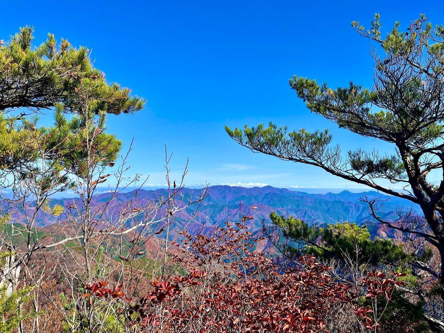諏訪山登山口-ヤツウチグラ-諏訪山 往復コースの写真