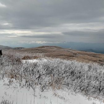 曇ってて周りの山が見えません。