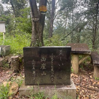 市長の句👍

山頂 とーちゃくー！
ここまで雨に降られずなんとか🙌
天狗山までの周回予定だったけど
無理せずピストンで引き返すことに