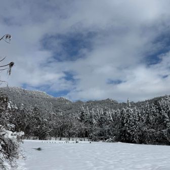 下山したら青空が、、今山頂に居たい。