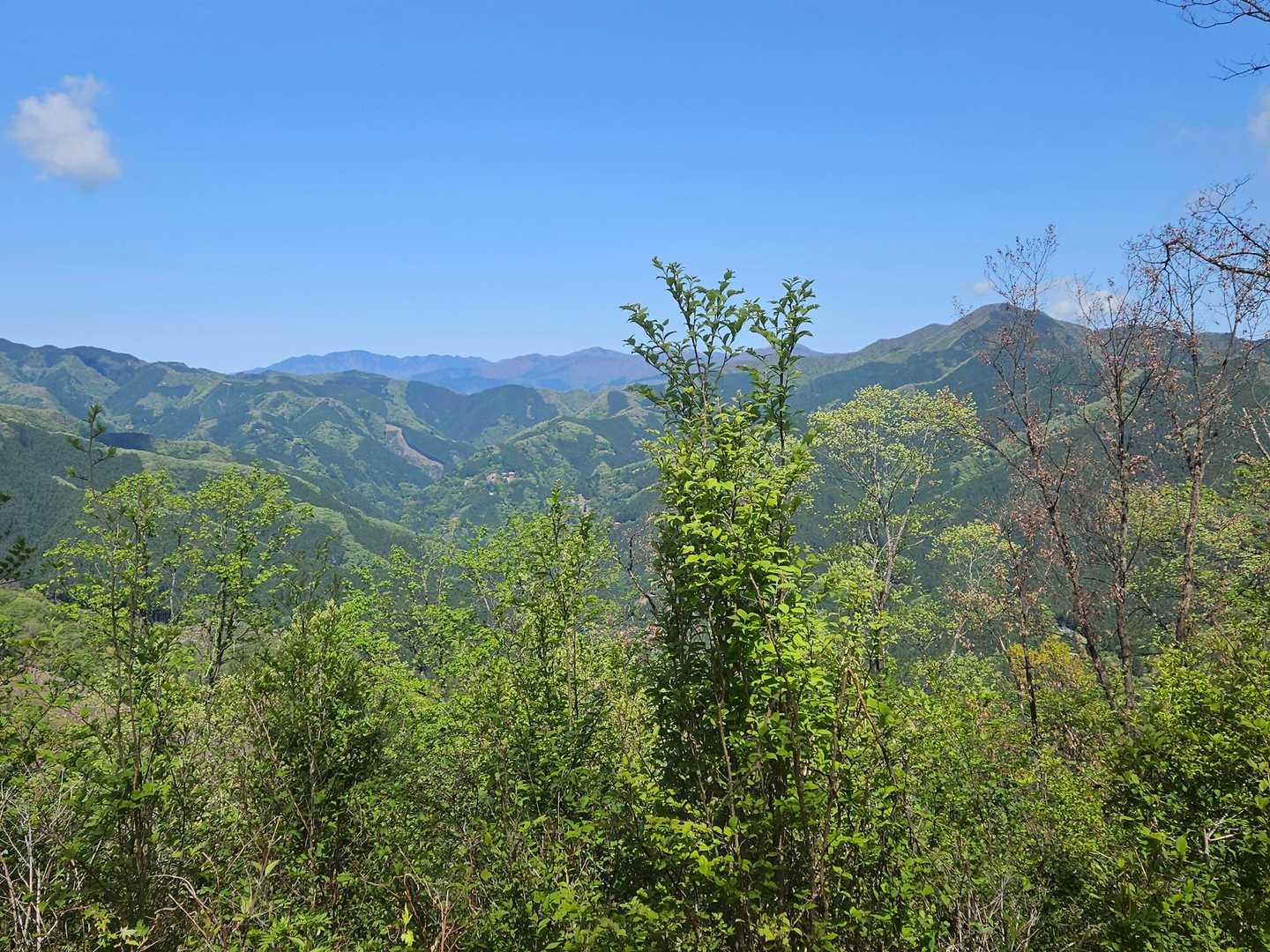仲の平バス停-御林山-数馬峠-内台山-人里峠-浅間嶺-天領 縦走コースの写真
