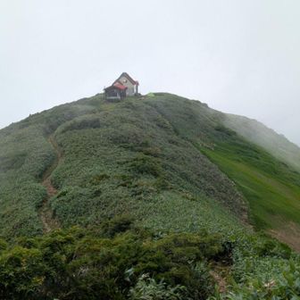 頼母木小屋の小屋番さん色々お話ありがとうございました😊
普通のゴム長靴履いてものすごい速さで地神山方面から戻られてきました、体力あるんですね！
