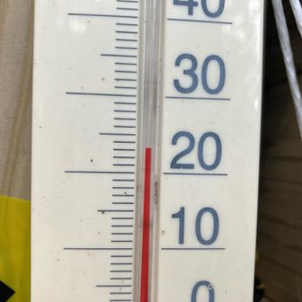 23℃
