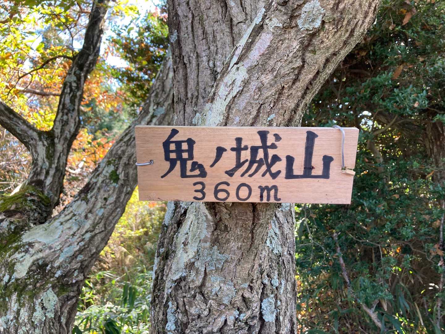 2個ある