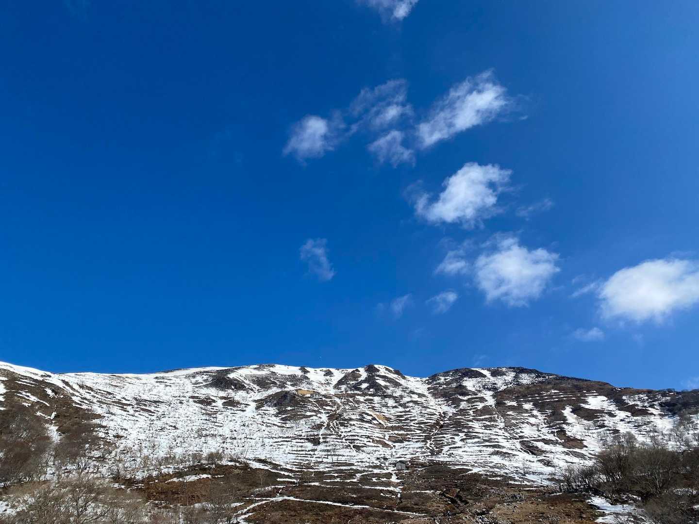 伊吹山 正面登山道（上野口コース）の写真