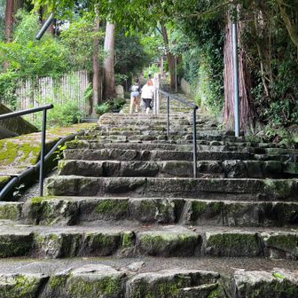 沢山の参拝者さん登ってる人いる😊