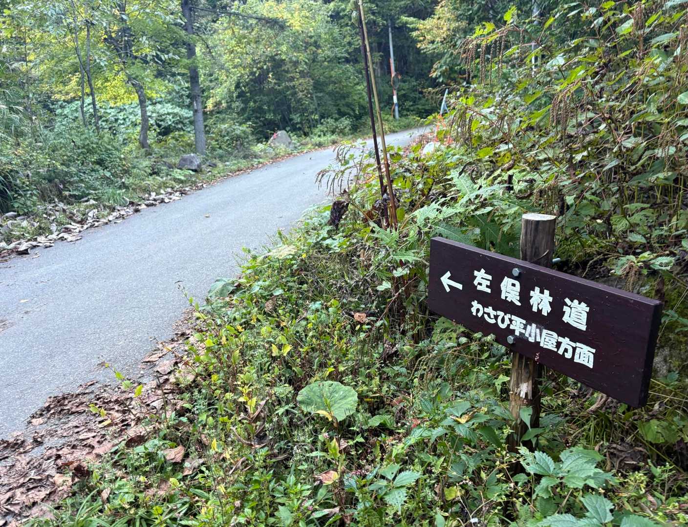 左俣林道入口に到着🚪