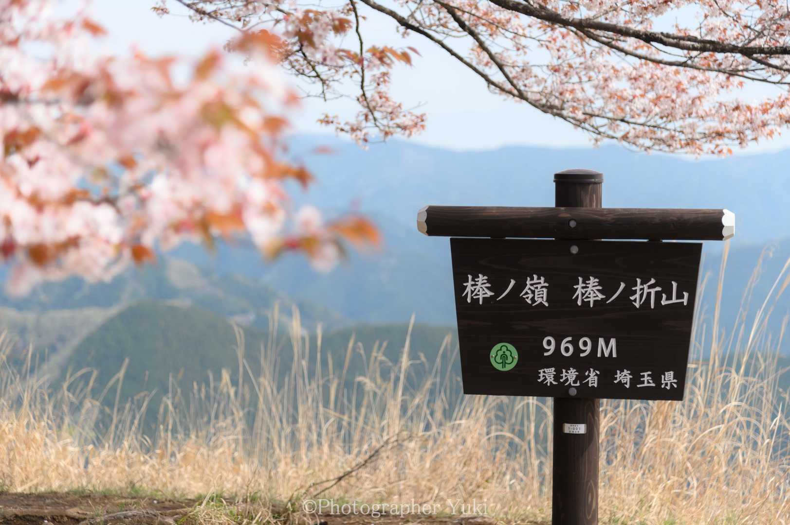 山頂標柱🚩