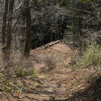 それでは戻ります