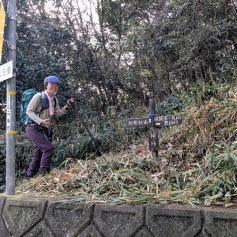 切り替えて
こちらが大茶臼山ですよー。
こんなん初めての人迷うよね。。
難しいわ。。