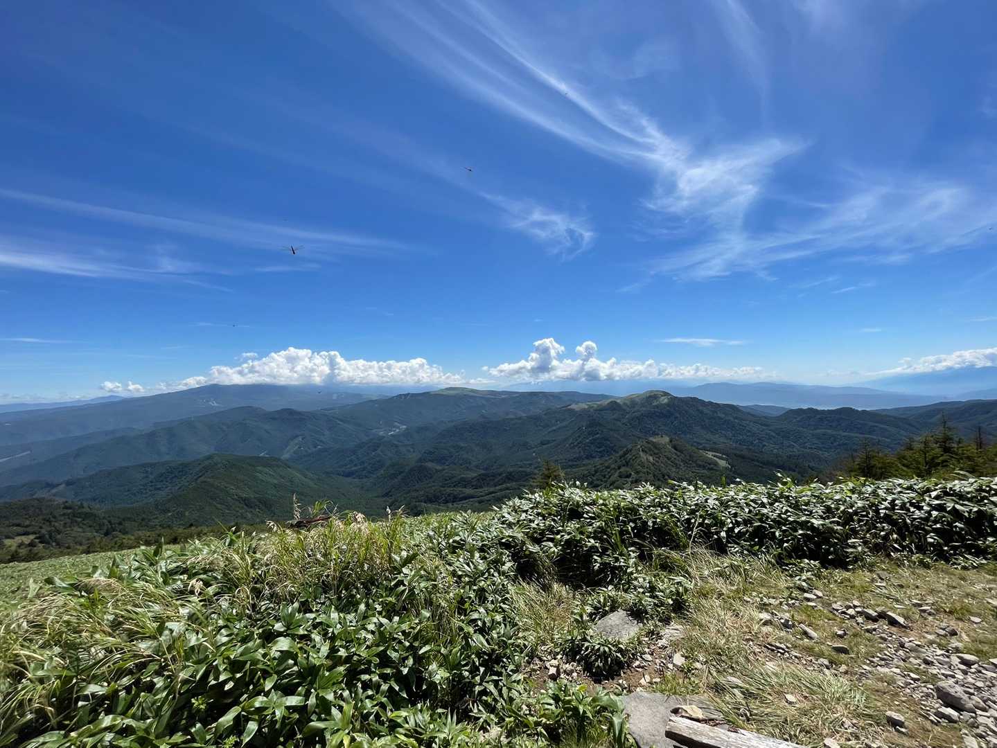 100曲がりコース登山口-茶臼山 周回コースの写真
