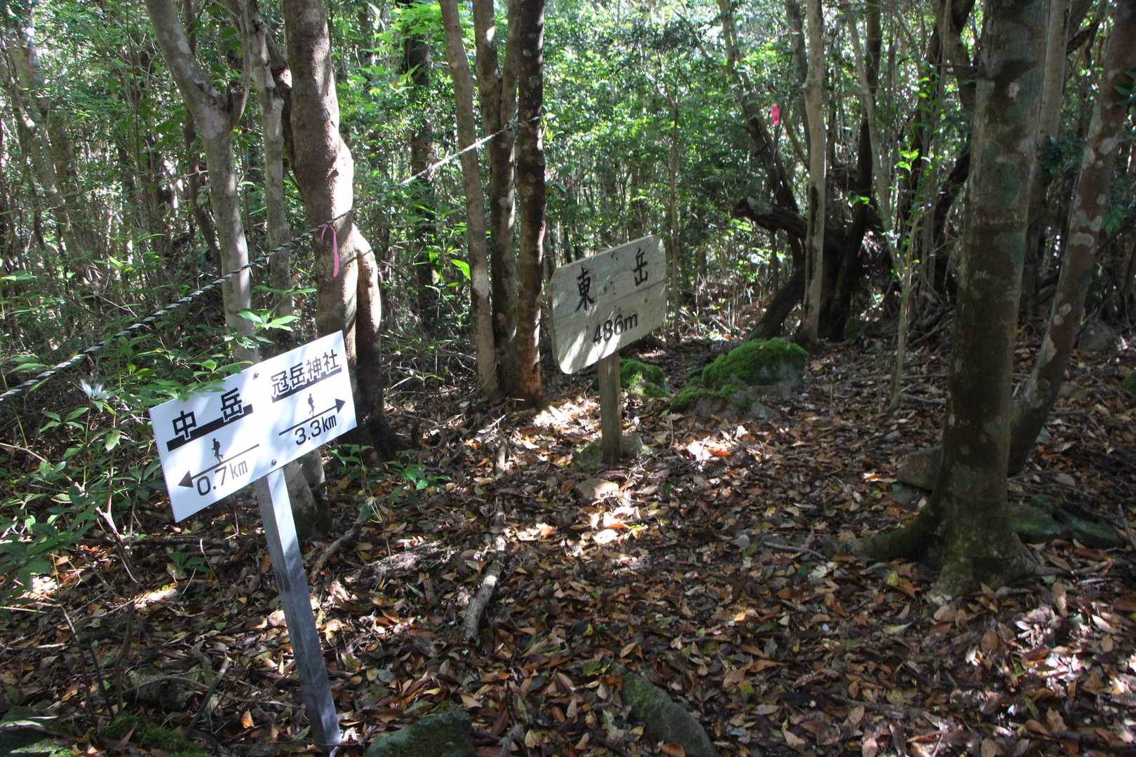 ラスト東岳