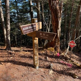 山標ではなく道標だが芋ノ木ドッケ到着