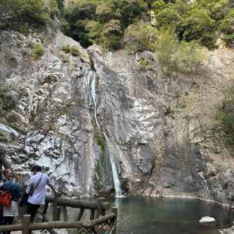 今日はあんまり垂れてない〜！