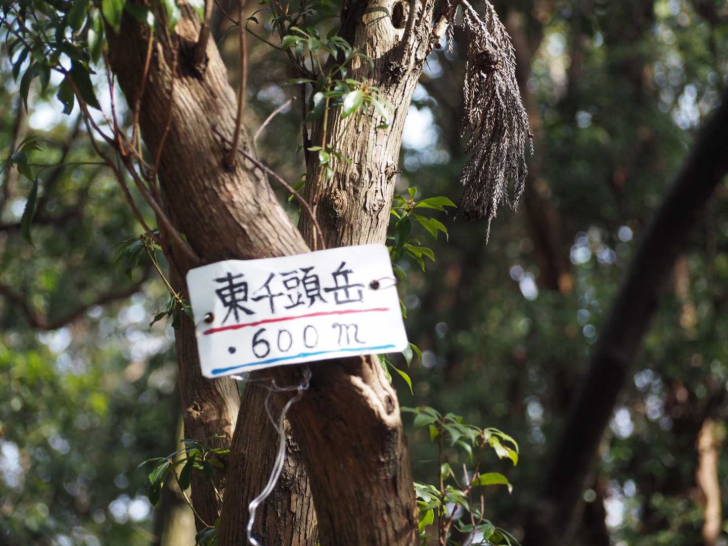 足を止めず登り切りました‼️東千頭岳到着‼️