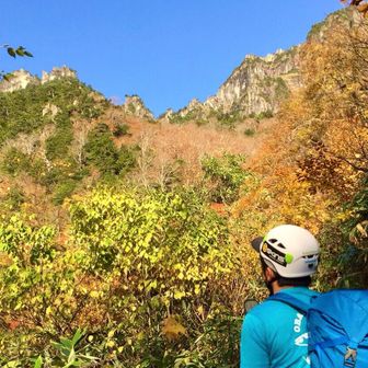 はむすたー師匠