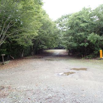 広い