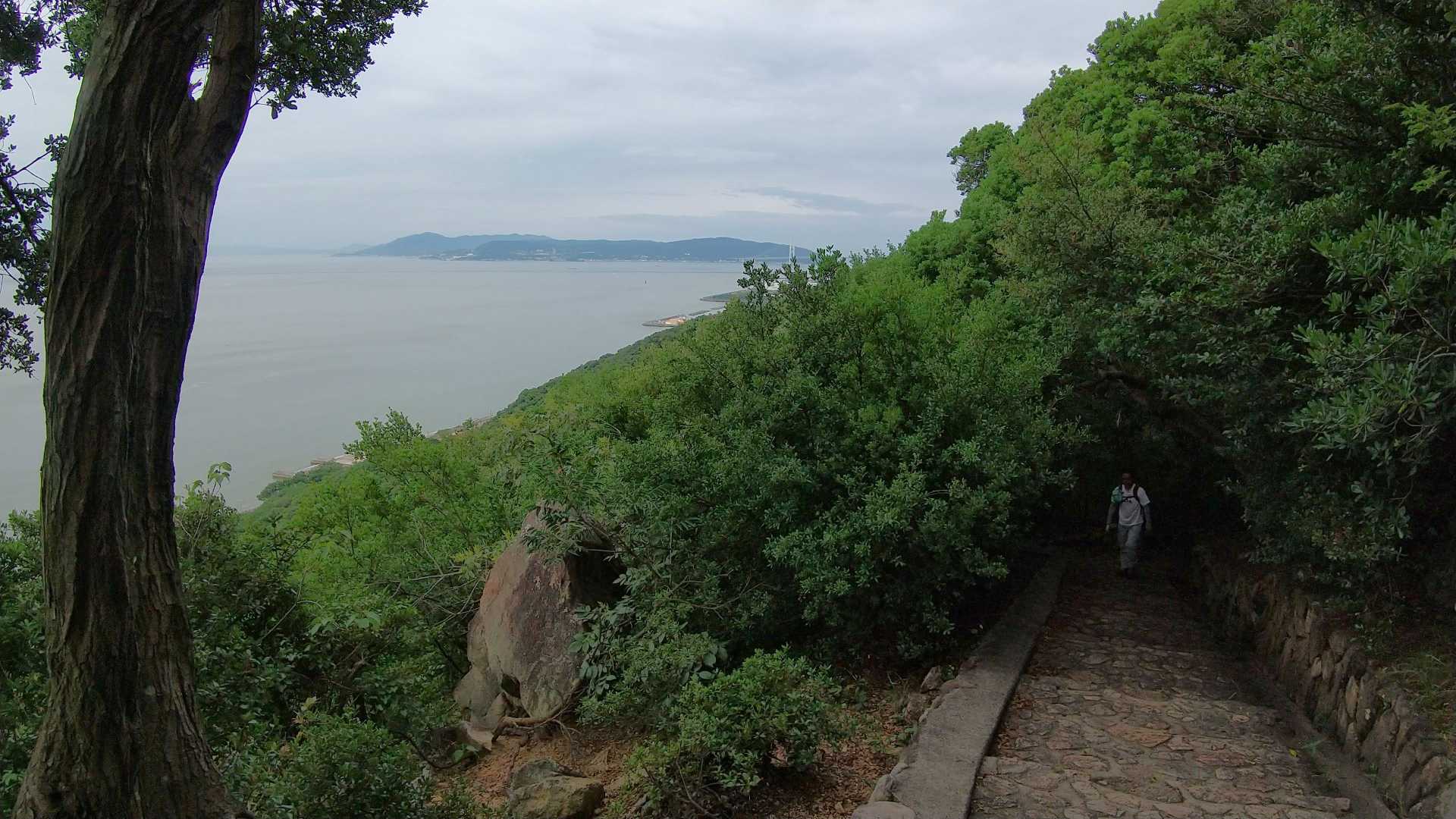 見晴らしポイントで立ち止まって
連日の雨で、ちょっと茶色く濁る海