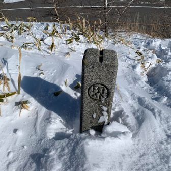 こ..このマークは！
って事は下の道は界王星に繋がる蛇の道🐉

おらワクワクすっぞ！