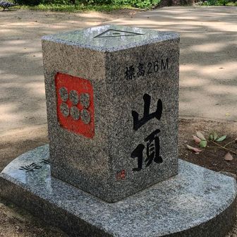 茶臼山の山頂△