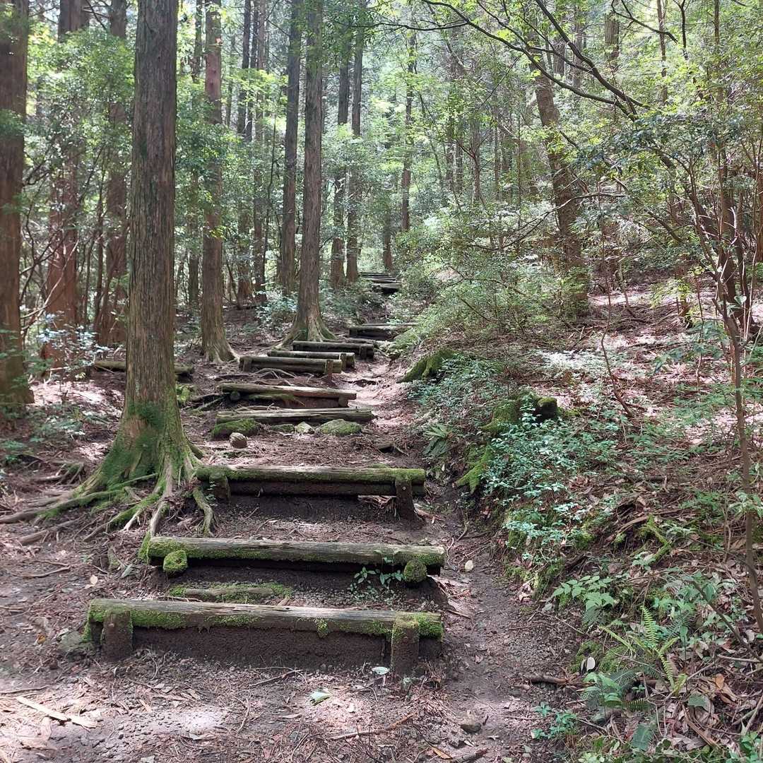 歩きにくい木の階段😣
横を歩いて🚶💨