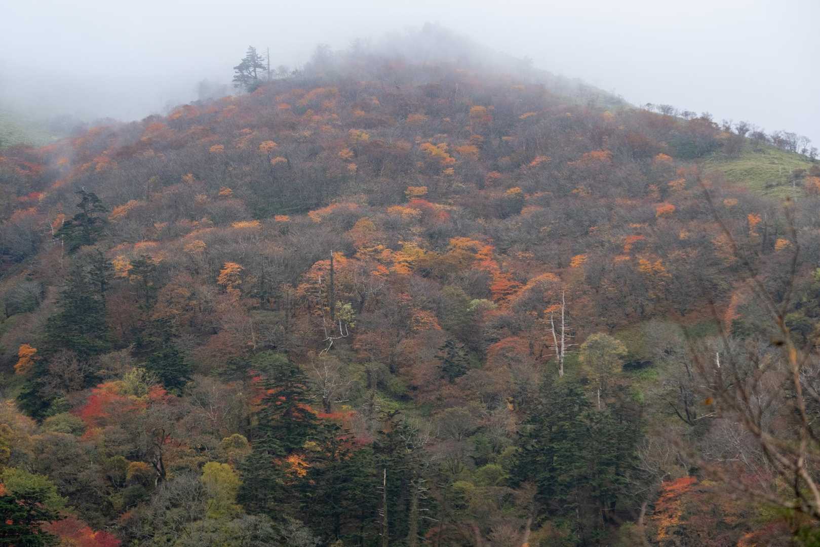 でも、このお天気