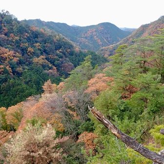ここも前回来てお気に入りの展望台🥰
ここから未踏の岩巡り🪨