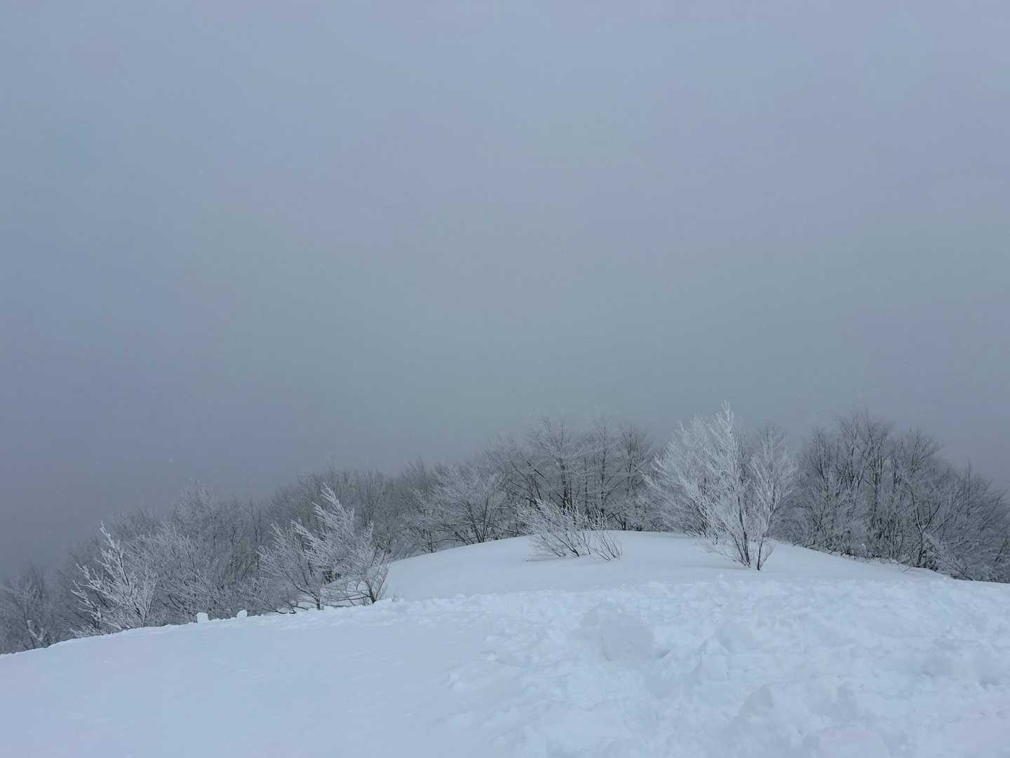銀杏峯登山口-名松新道登山口-銀杏峯 往復コースの写真