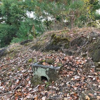 参道入り口の手水