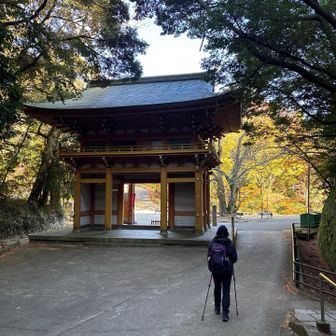 大龍寺から市ケ原を通って摩耶山に向かいます🥾