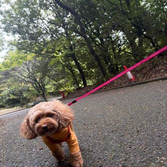 いっぱいおやつもらえて大満足な🐶✨