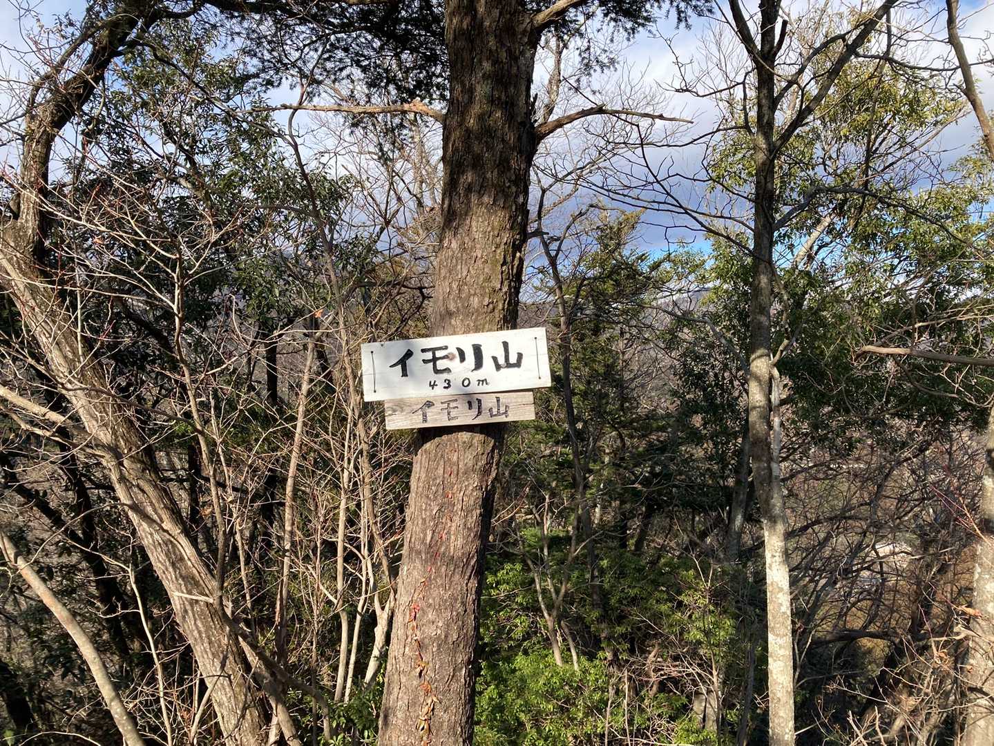 イモリ山山頂