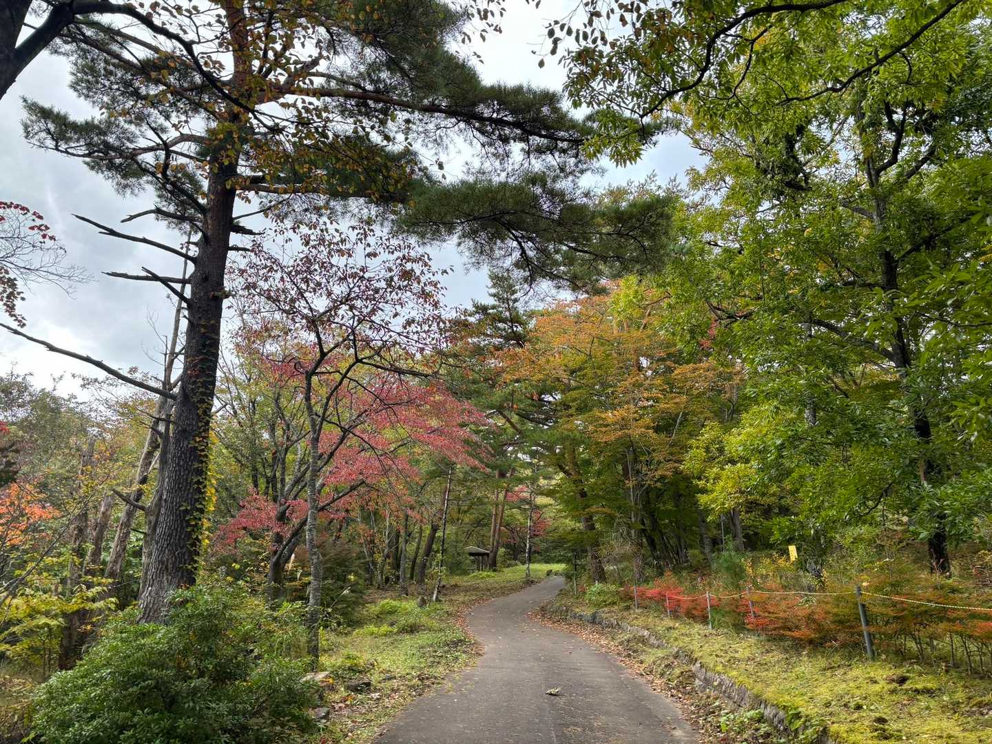 登り口はまだですね。