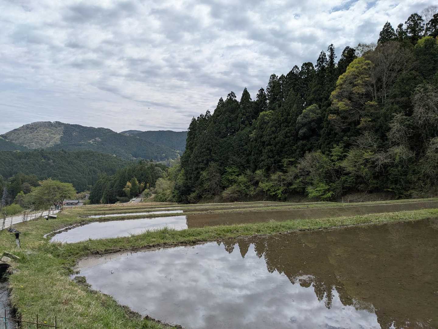 棚田〜もうすぐ田植えの時期ですね〜