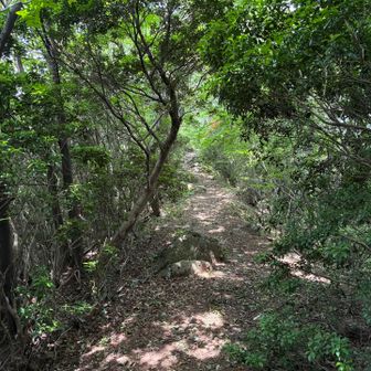 四座目に向かい下山します