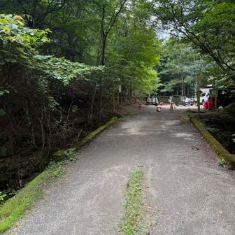 戻ってきました