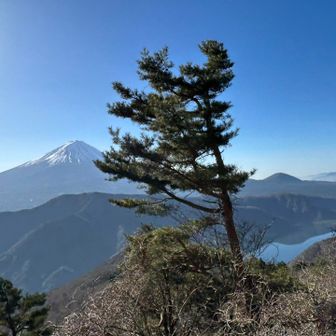 早速、富士山どーん