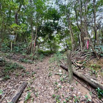 日地山との鞍部
↑は展望所　←小浜山　→日地山❌🚷