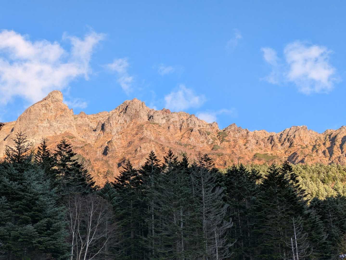 最高