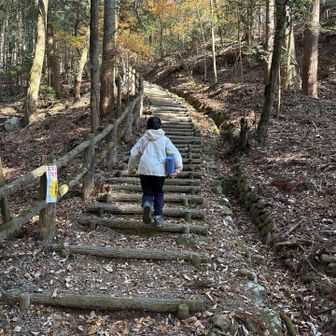 整備された木の階段
娘は何段あるか
数えながら登ります
