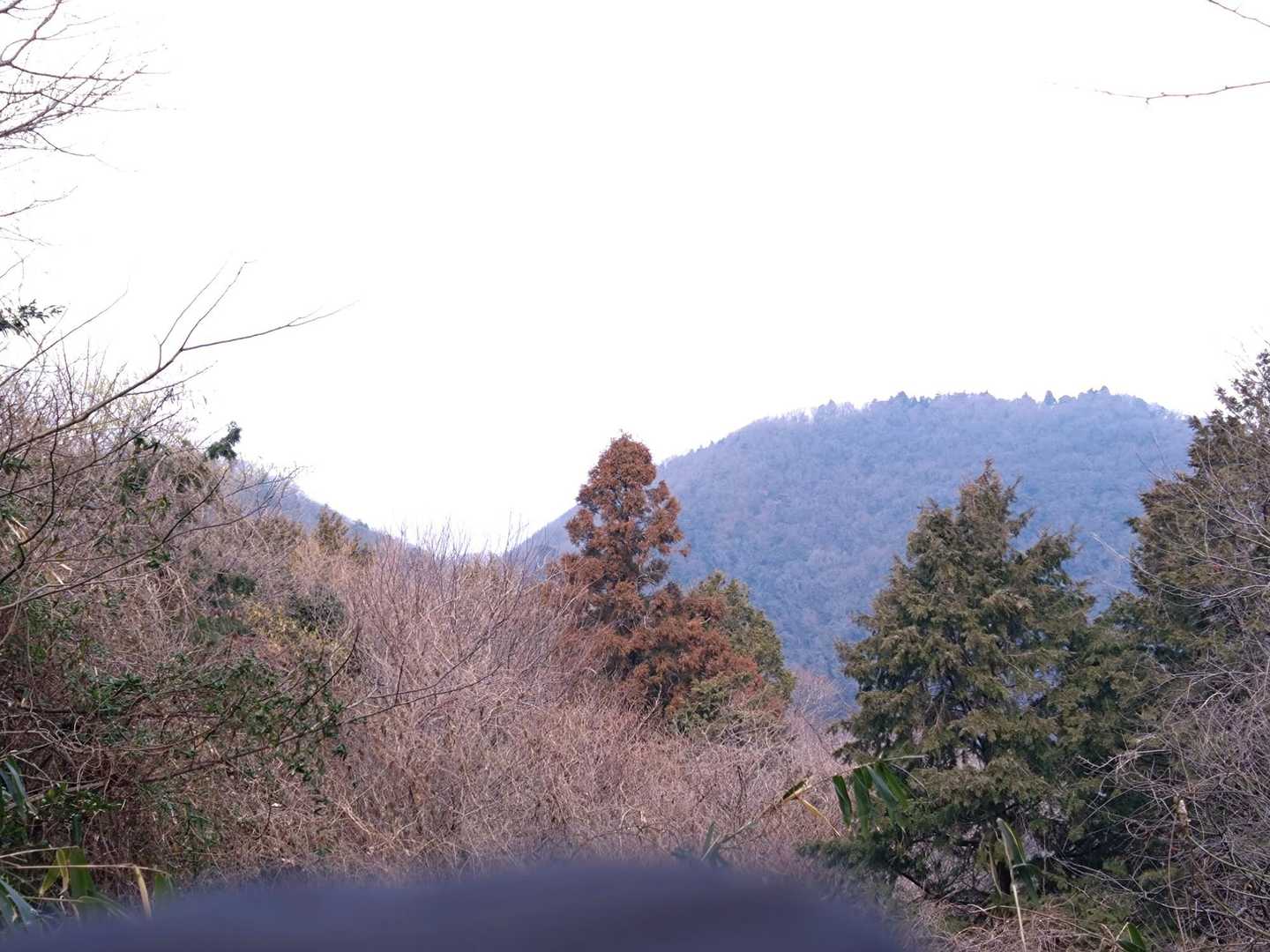 麻呂子山・原岳登山口-麻呂子山-原岳 周回コースの写真