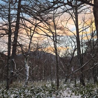 やった! オレンジに染まる