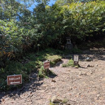 天狗堂、全然休憩適地じゃねぇ〜。容赦ない日向！笑