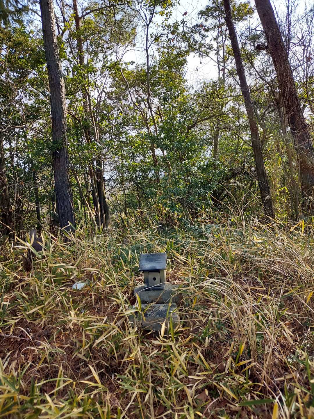 すぐに小さな祠がありました、お皿が飛んでいってたので直して参拝します。山路の安全を感謝、国見山379m