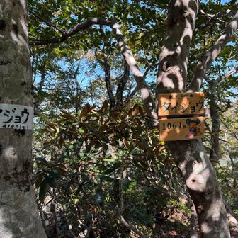タイジョウ到着
この時点でのテンションは2人とも低い！
恐怖としんどさが同居してる

つーかタイジョウさん？
なんすか？その鈴鹿300座ってのは？
そんなのあんの？