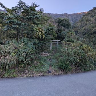 道路歩きここまで約1時間、鳥居が目印の〈小葉谷登山口〉夜露、朝露で登山道脇の草藪はビショビショ、スパッツ装着す。
