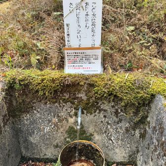 浄水と煮沸で飲めるかな❓無理か❓