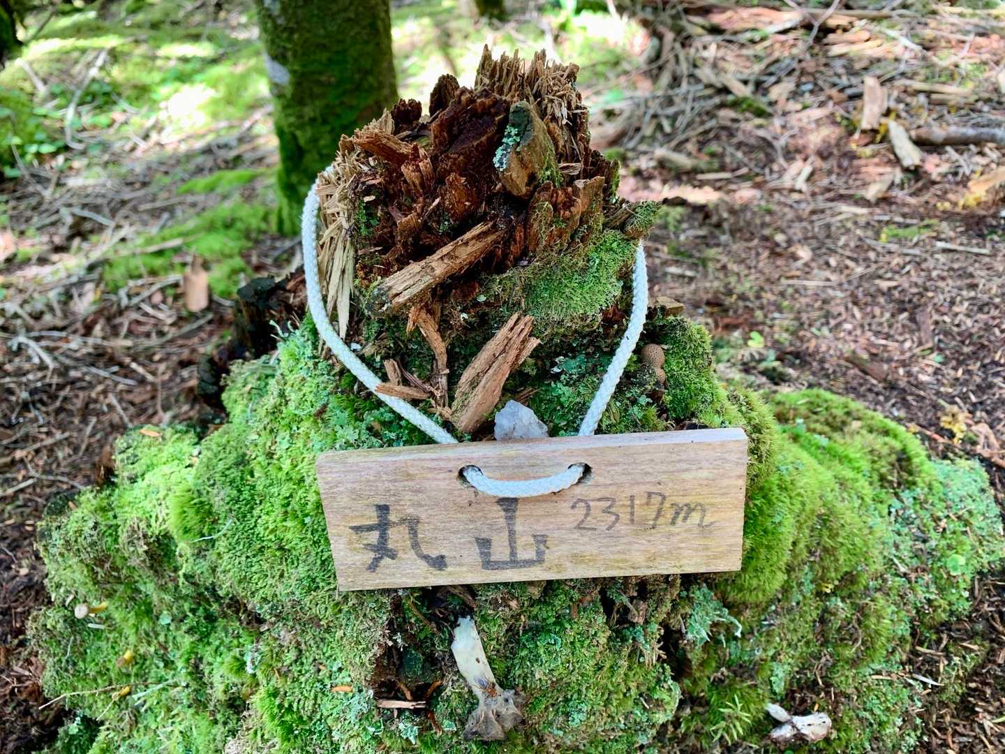 丸山‼️