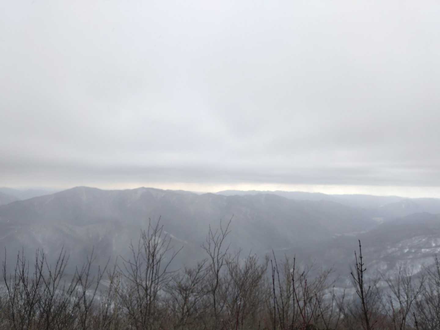 安蔵寺山 往復コースの写真