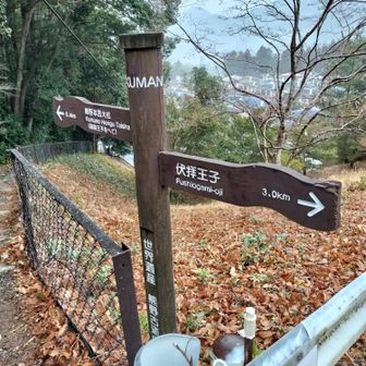 熊野古道 小辺路 道標が至る所にあります🎶